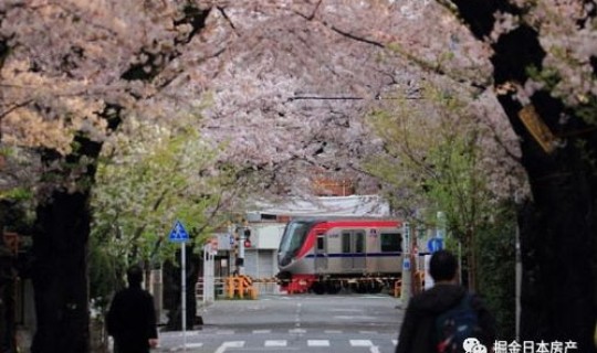 毕节最新疫情 毕节疫情出现拐点了吗