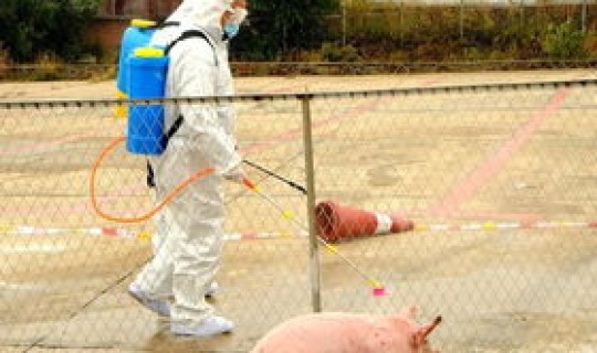 浙江疫情是什么地方最严重？浙江哪几个地方疫情严重