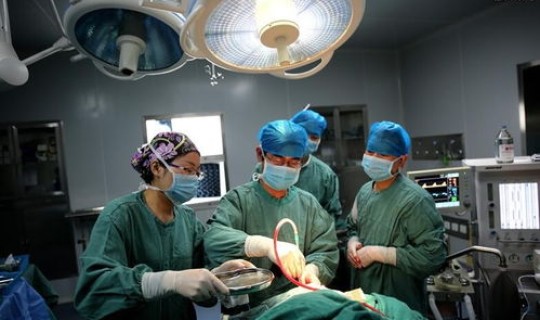 现在还没有新冠肺炎的国家有哪些？没有新冠肺炎的国家