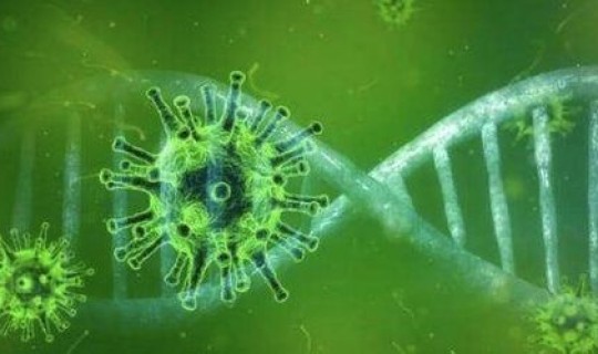 国外最新变异毒株名单	，新冠病毒有多少种变异毒株分别有什么特点