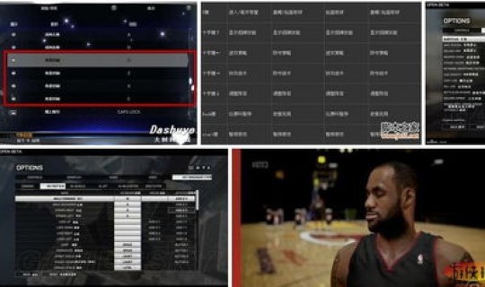 2k14基本操作(2k14键盘操作攻略) 2k14基本操作(2k14键盘操作攻略)