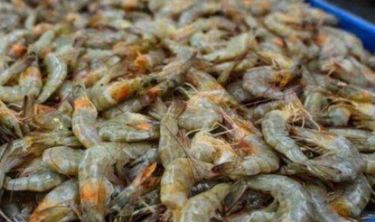 大连进口海鲜检测出新冠病毒了吗 此次疫情与进口海鲜有关系吗