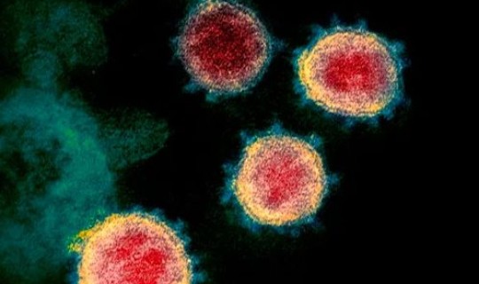 病毒变异会变强吗(新冠变异病毒传染性会增强吗)