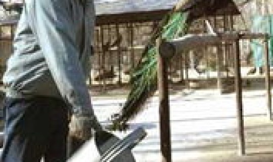 北京禽流感最新疫情？禽流感最新消息