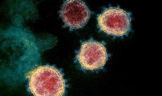 病毒变异元旦还能出行么现在，病毒变异元旦还能出行吗变异病毒是否会传入我国