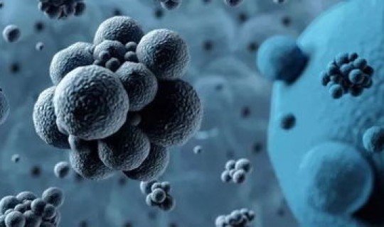 新型冠状病毒感染了多少人？死亡了多少人？ 新冠全球一共死亡多少人