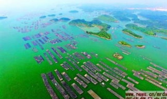 广西钦州最新消息，钦州属于广西哪个市