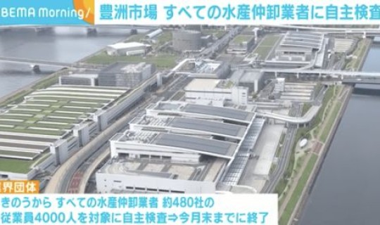 南京新增电子探头 南京安防电子市场具体位置