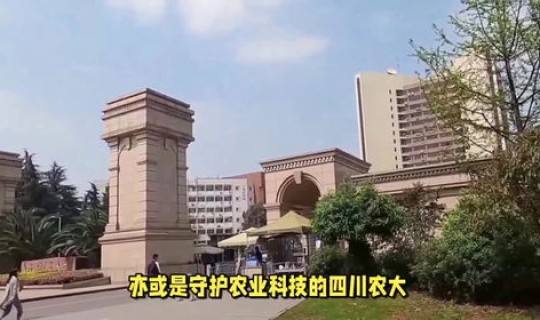 211高校有几所 211大学共有多少所学校 211高校有几所 211大学共有多少所学校