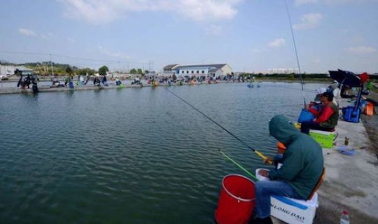 鲅鱼圈是因为鲅鱼多吗，鲅鱼圈为什么叫鲅鱼圈