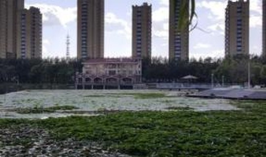 黑龙江铁力属于哪个城市?黑龙江省铁力市属于哪个市 黑龙江铁力属于哪个城市?黑龙江省铁力市属于哪个市