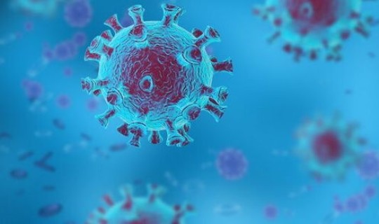 新冠病毒全国死亡人数是多少？新冠病毒各国一共死了多少人