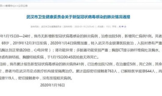 武汉感染人数十倍？武汉一个市的新增感染病人为何会高于湖北一个省的人数