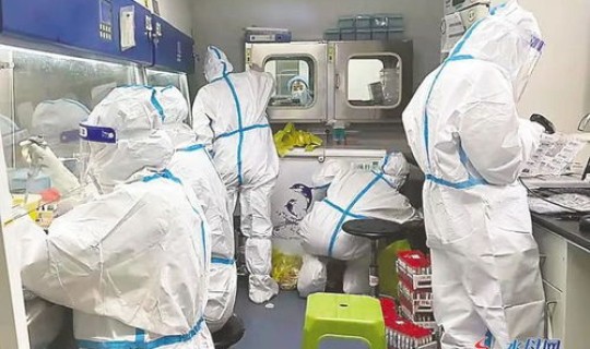 核酸排查没有结果	，做了核酸检测为什么还查不出来