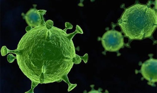 病毒变异后变成什么？病毒发生变异了