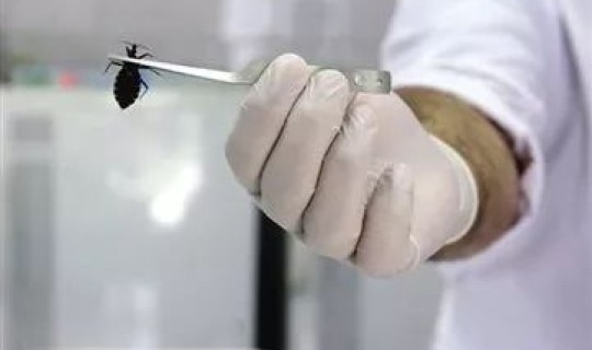 隐匿性疾病有哪些症状 什么是隐匿性精神疾病具体的精神表现形式是什么 隐匿性疾病有哪些症状 什么是隐匿性精神疾病具体的精神表现形式是什么