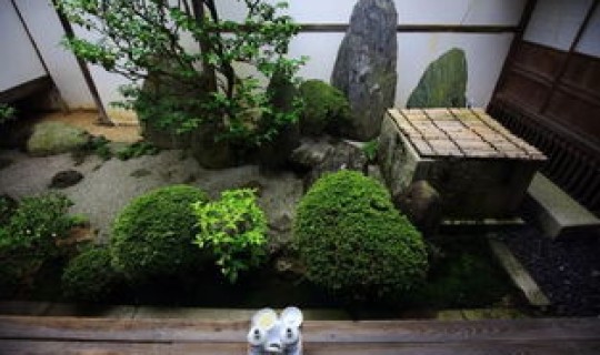 返景入深林,复照青苔上是什么时间 复照青苔上写的是什么时候的景色