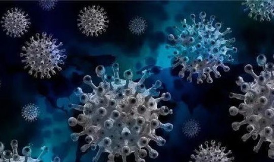新冠病毒怎么产生的？新冠病毒到底是从哪里来的