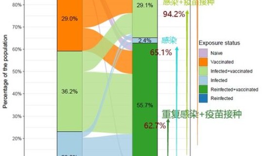 美国感染数据怎么统计出来(美国感染新冠病毒人数统计)