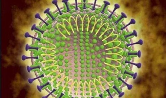 以后还会出现什么病毒？关于病毒的介绍