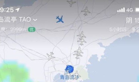 青岛航班疫情(青岛流亭机场近半航班取消是真的吗)