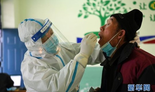 石家庄集体做核酸(石家庄全员核酸检测安排)