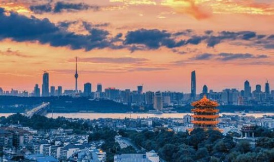 疫情哪一年开始的？，疫情是哪一年开始的