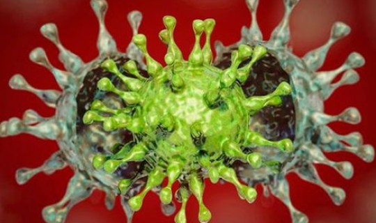 最新新冠变异株症状 新冠病毒有多少种变异毒株分别有什么特点