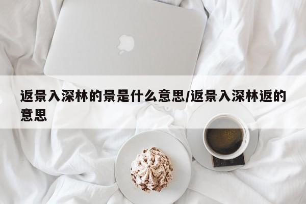 返景入深林的景是什么意思/返景入深林返的意思