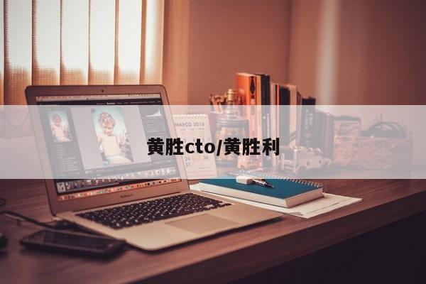 黄胜cto/黄胜利